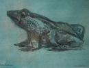 m021: Poppe Damave; Snuitkikker; Krijttekening